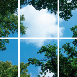 FOTOPRINT afbeelding wolk-bos verdeeld over 6 panelen 595 x 595 mm-0