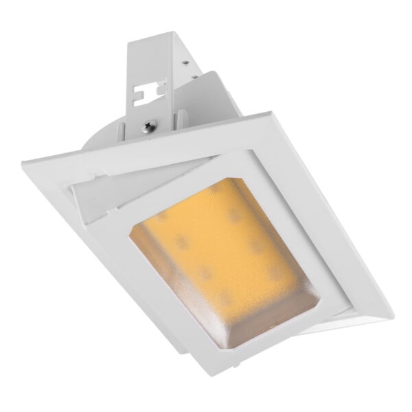 DOWNLIGHT KANTELBAAR 30W-4662