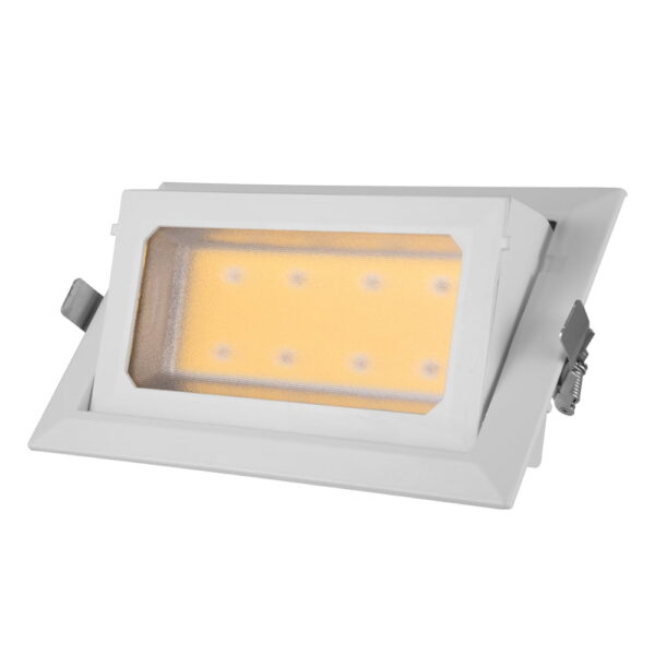 DOWNLIGHT KANTELBAAR 30W-4663