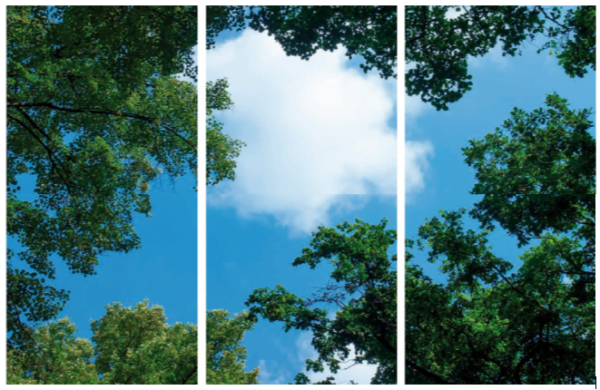 FOTOPRINT afbeelding wolk-bos verdeeld over 3 panelen 1195 x 595 mm-4098